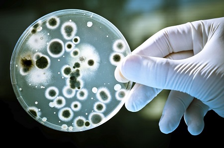 英国研发仅45分钟即可完成细菌抗药性检测的新型生物传感器