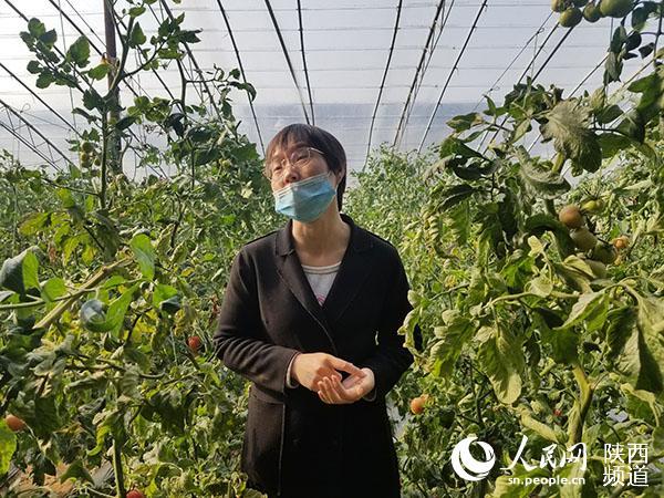 陕西大荔借传感器等物联网技术推进农业产业高质量发展