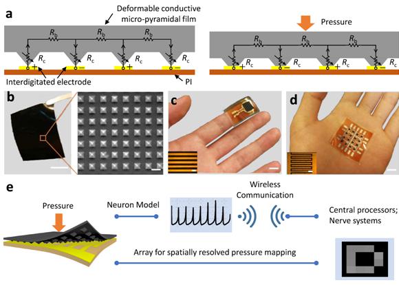 西安交大科研人员基于压力传感器在电子皮肤领域取得新进展